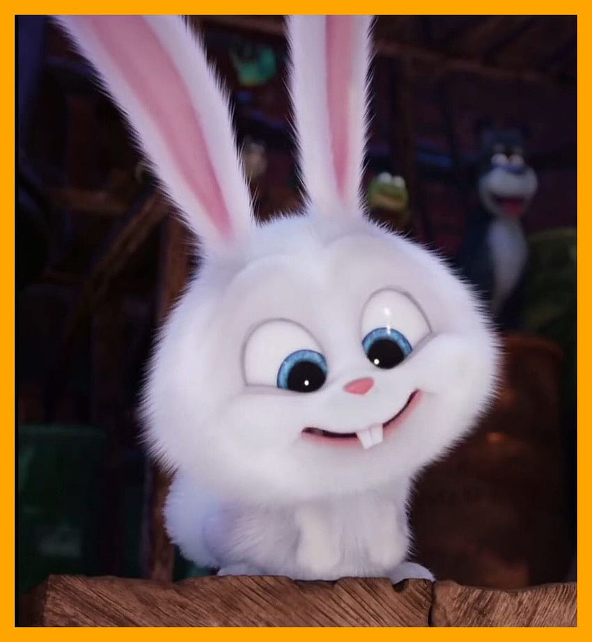 snowball bunny HD phone wallpaper