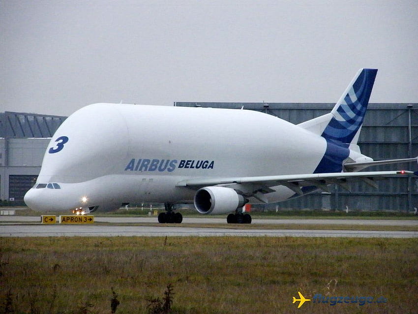 Airbus Beluga, si pesawat kepala besar ...pinterest HD wallpaper