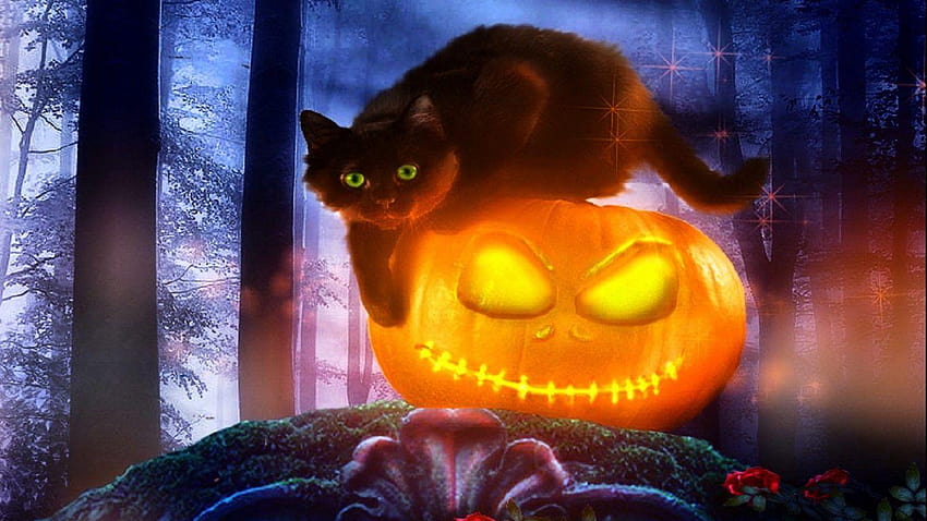 6 Kucing Halloween Lucu, kucing hitam kawaii halloween Wallpaper HD