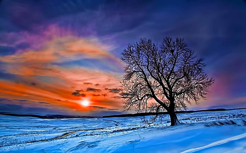 musim dingin matahari terbit yang indah di tahun 2019, matahari terbit musim dingin Wallpaper HD