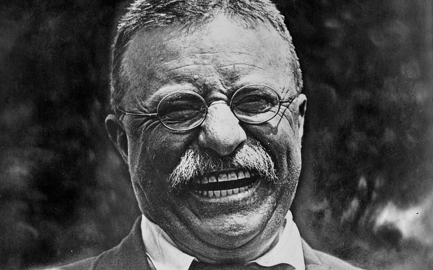 Theodore Roosevelt, teddy roosevelt HD wallpaper