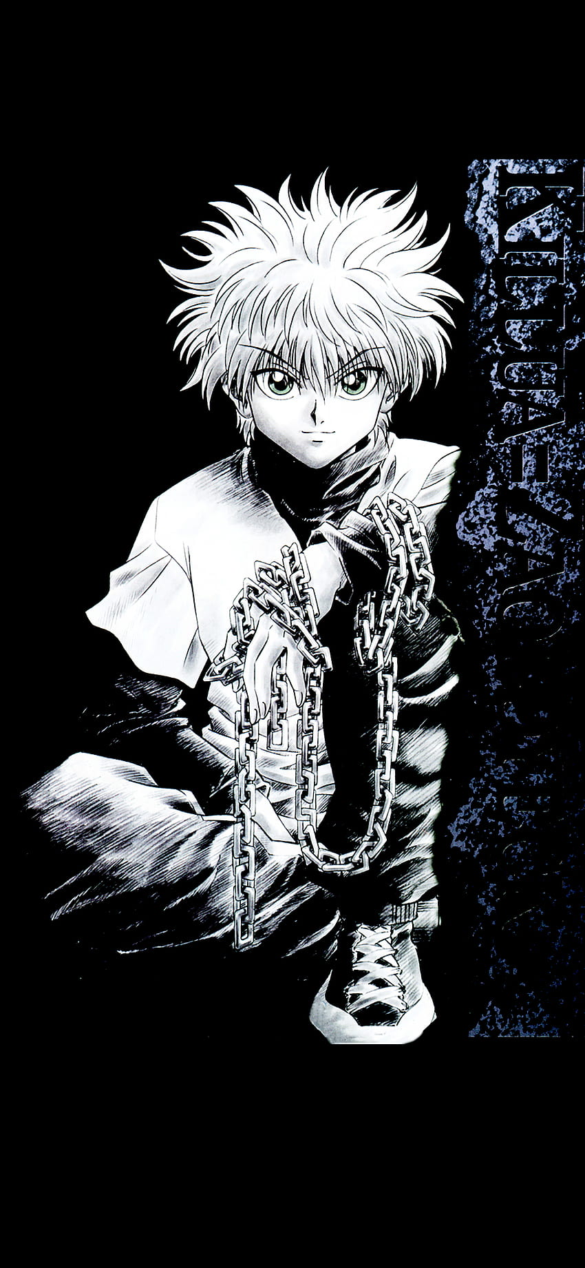 Another wallpaper for the iPhone 11 OC  Transformed Gon  rHunterXHunter