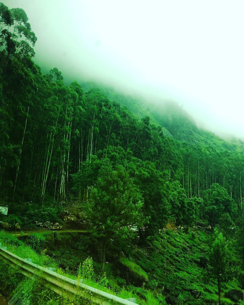 An der Munnar Hill Station Kerala Indien ..., Valparai HD-Handy-Hintergrundbild