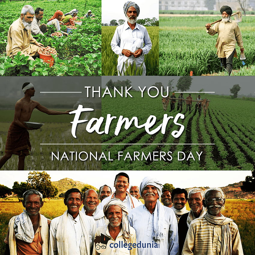 Kisan Diwas로 널리 알려진 National Farmers' Day는 오래된 농부의 날입니다. HD 전화 배경 화면
