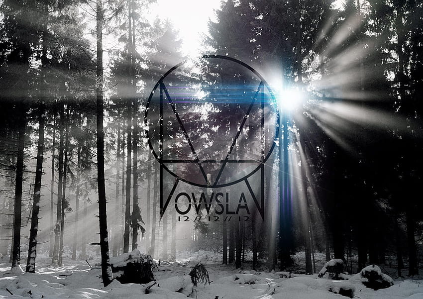 Thanks to music and most notably Skrillex, I got sober from a, owsla HD wallpaper