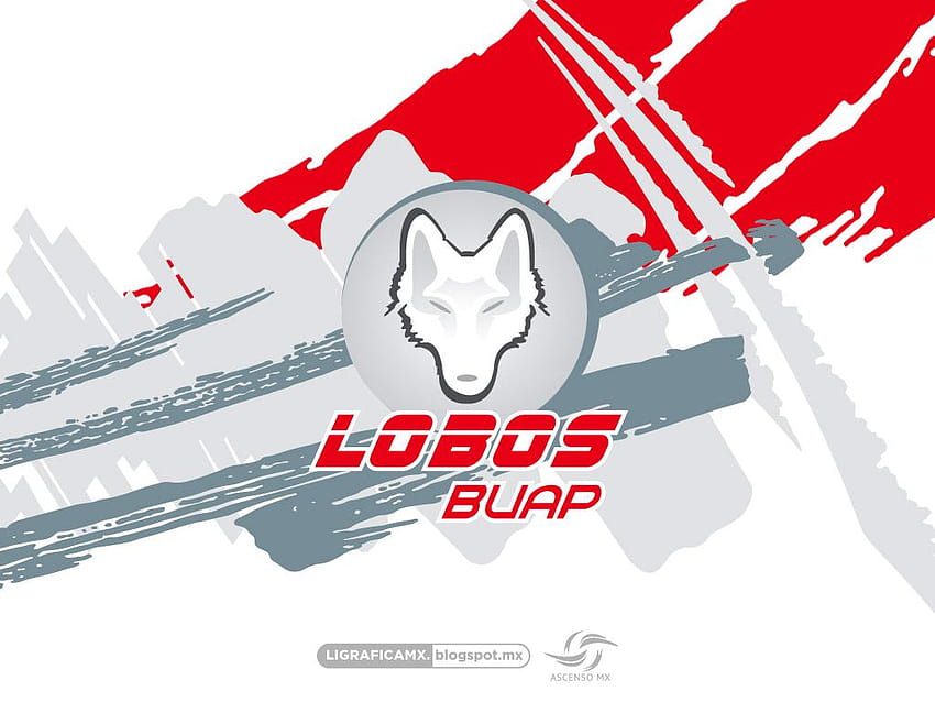 Lobos buap logo HD wallpapers | Pxfuel