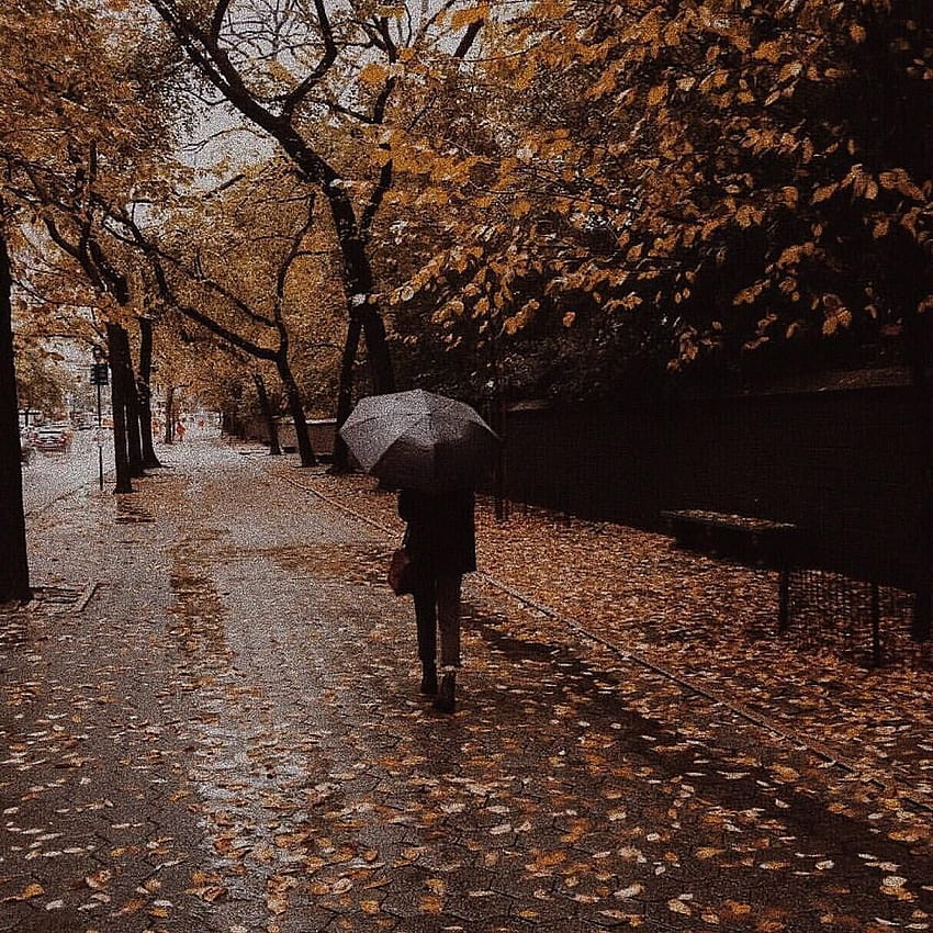 Schönen Freitag, Kürbisse! Geht es nur mir so oder ist das super gemütlich? Wer liebt noch den Regen, Herbstzauber HD-Handy-Hintergrundbild