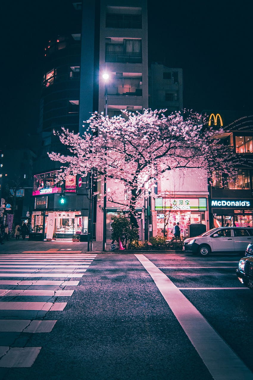 Chuo Tokyo Japan Aesthetic japan Sky aesthetic City aesthetic [1066x1600] for your , Mobile & Tablet, android aesthetic japan HD phone wallpaper
