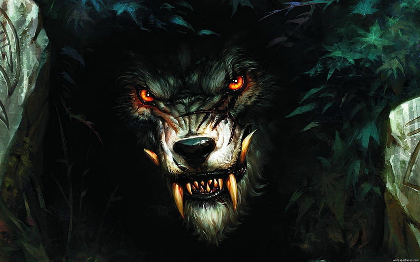 The Wolfman 19 HD Wallpaper | Pxfuel