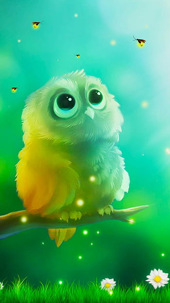Cute owl live HD wallpapers | Pxfuel