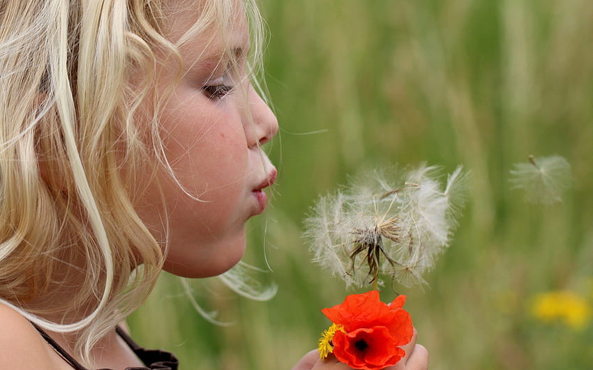 Girl blowing on a dandelion flower and, girl and dandelion HD wallpaper