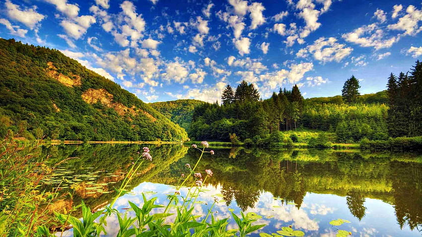 Pleasant & serene Nature! HD wallpaper