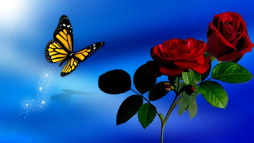 Rosen und Schmetterlinge auf Hund, blaue und rote Rose HD-Hintergrundbild