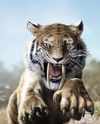 Smilodon HD wallpapers | Pxfuel