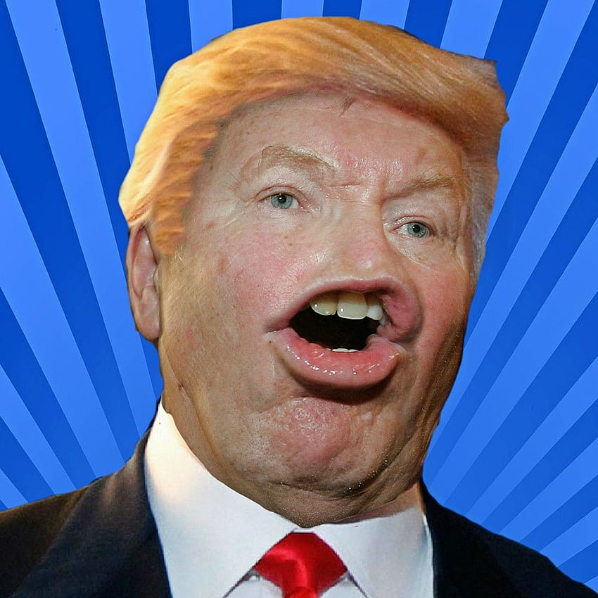 21 rostos engraçados de Donald Trump e que certamente farão você rir Papel de parede de celular HD