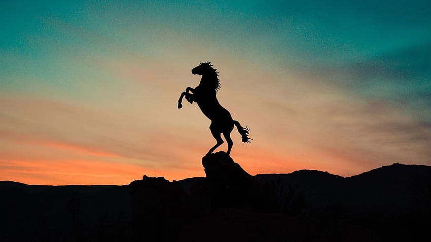 Horse Sunset, kuda matahari terbenam yang estetis Wallpaper HD