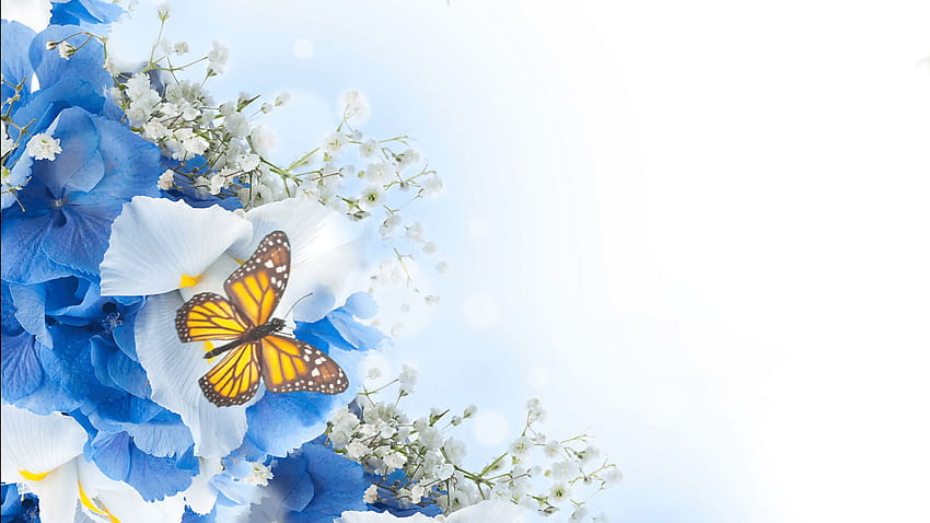 Beyaz bir arka planda çiçekler, koyu mavi el çanları ve kelebek, kelebek mavisi arka plan HD duvar kağıdı