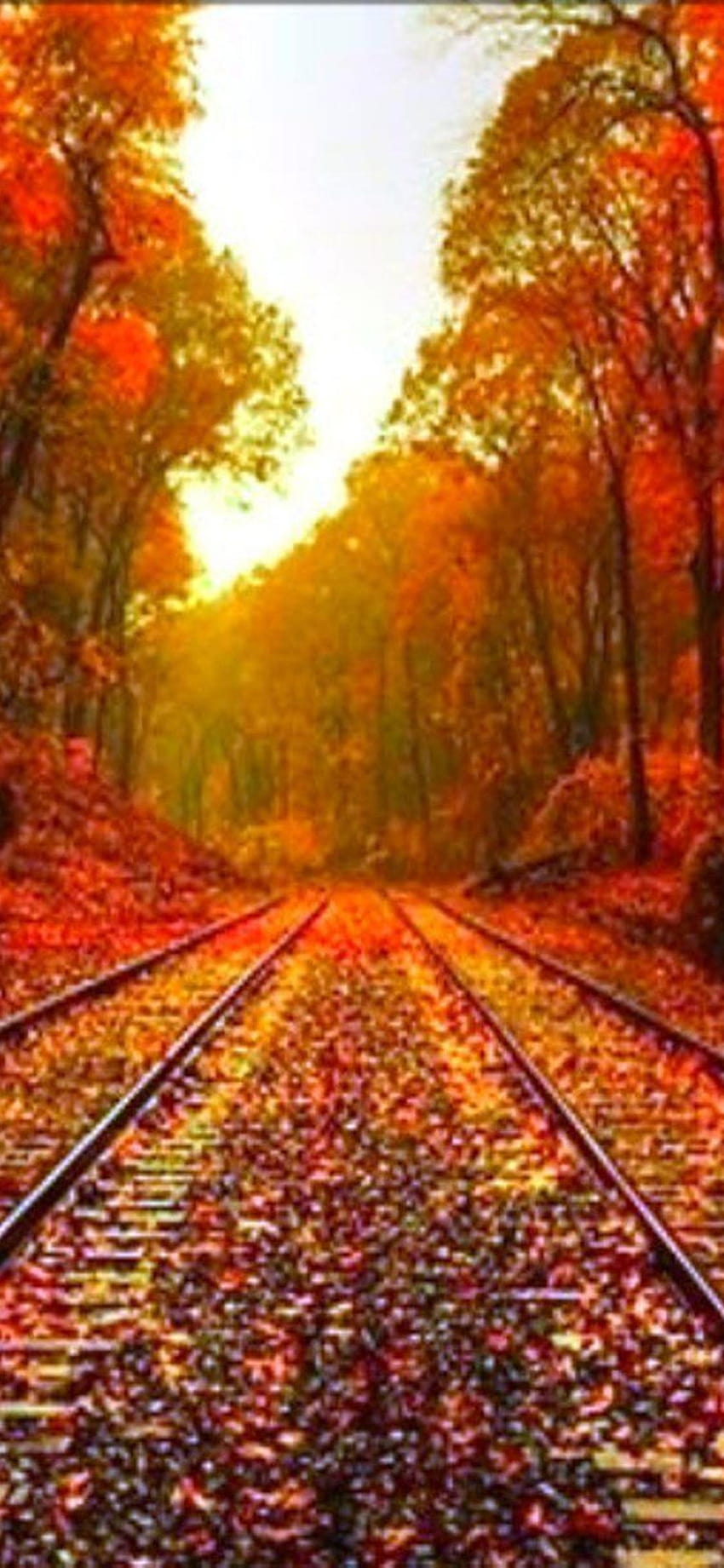 Autumn leaves on the rails, autumn train HD phone wallpaper | Pxfuel