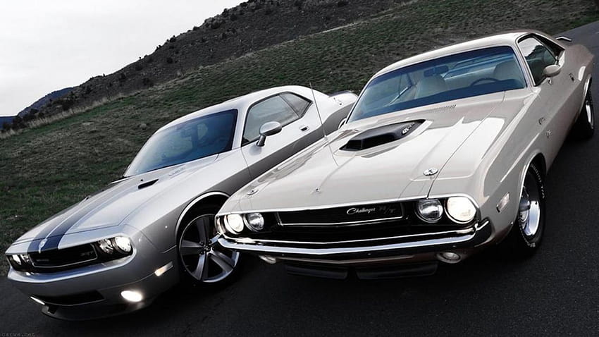 4 American Muscle Cars, us supercars HD wallpaper