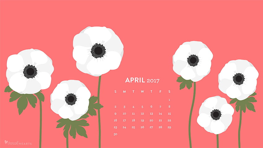 White Anemones April 2017 Calendar, calendar 2017 HD wallpaper | Pxfuel