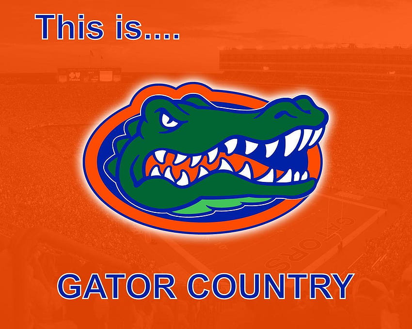 Florida Gators HD wallpaper | Pxfuel