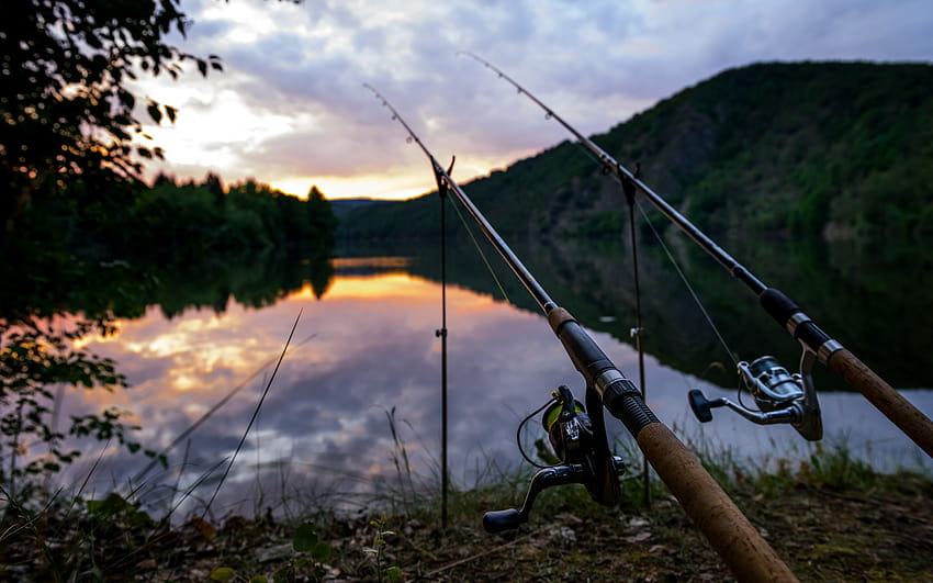 fishing concepts, fishing rods, river, morning, Czech Republic, Vltava River with resolution 2560x1600. High Quality HD wallpaper