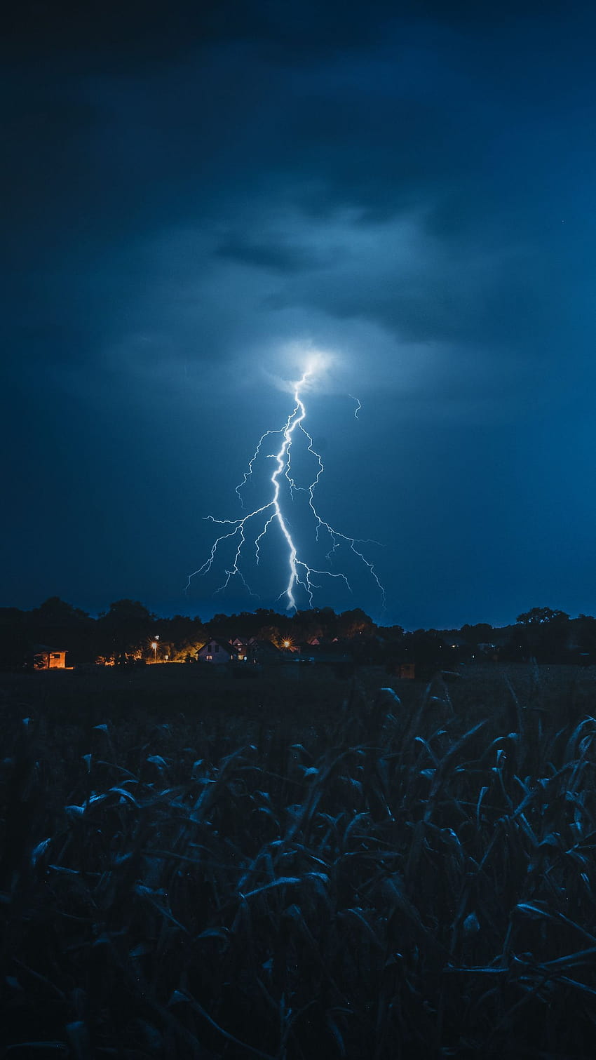 1350x2400 lightning, sky, cloudy, night, dark, lightning storm palm sky HD phone wallpaper