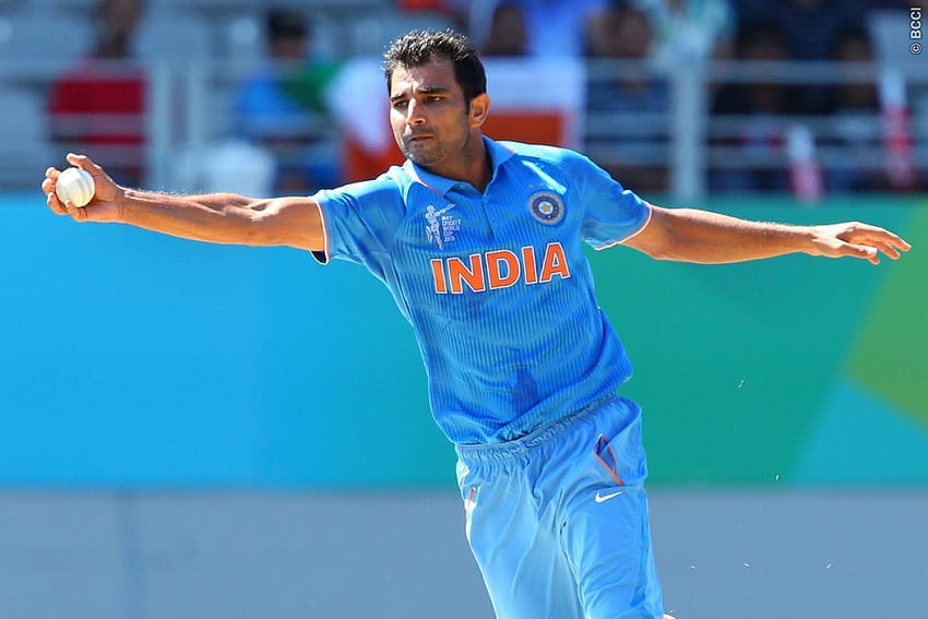 Mohammed Shami to be World Cup player of the tournament? HD wallpaper