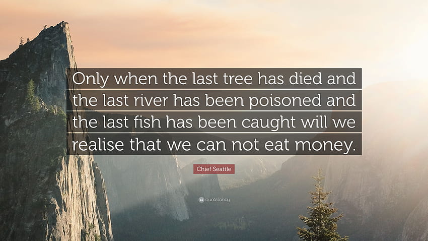 Chief Seattle Quotes, dying tree HD wallpaper