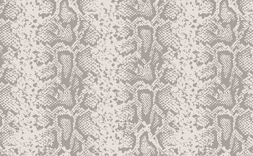Subtle taupe animal snakeskin Pattern for Walls, snake print HD wallpaper