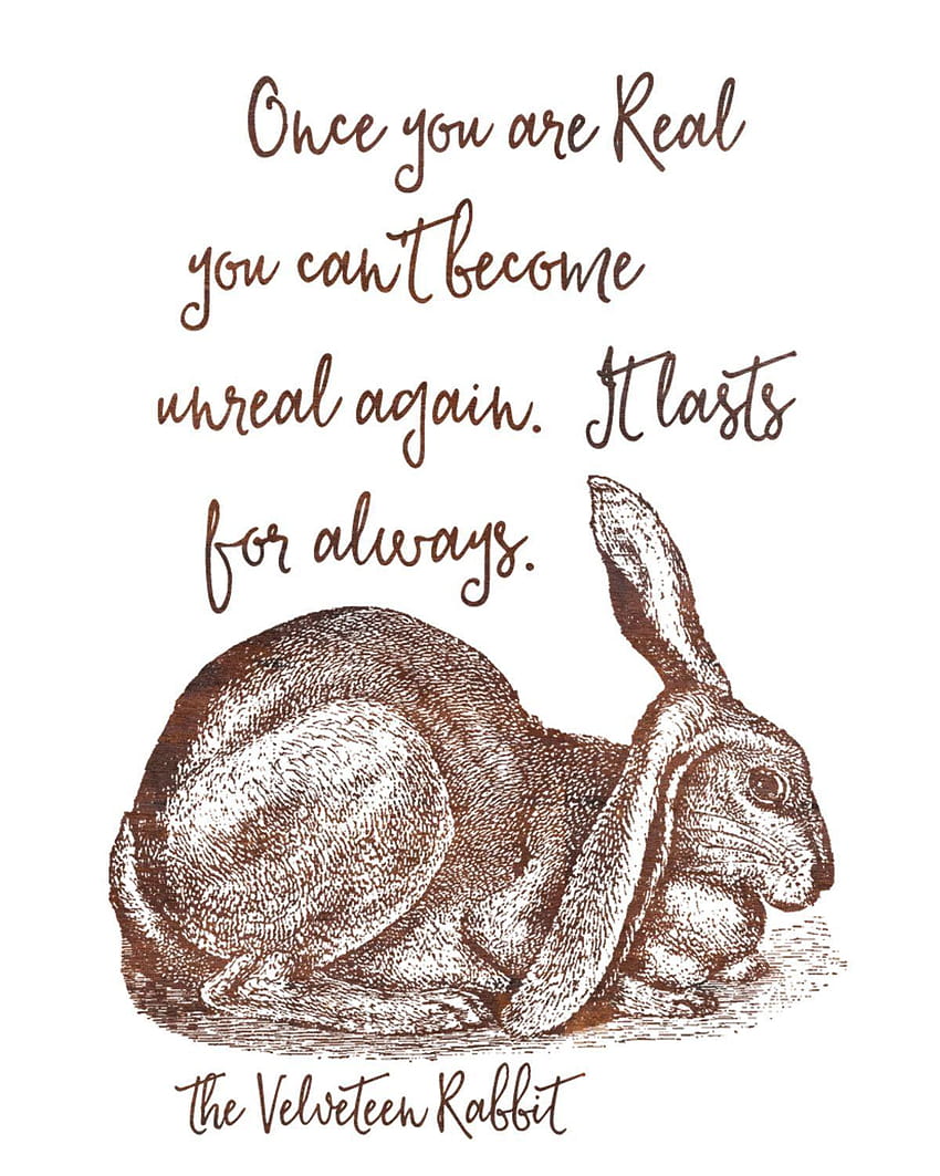 Pin on Life Quotes, the velveteen rabbit HD phone wallpaper