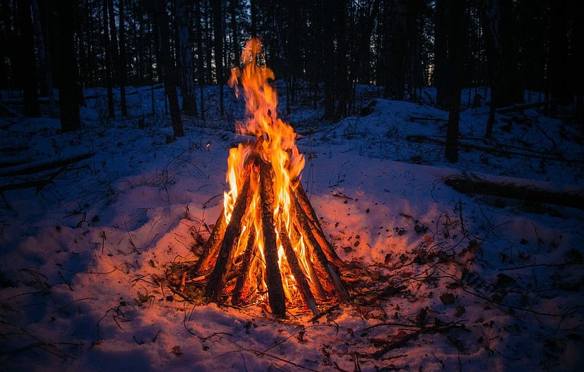 Winter Campfire HD wallpaper