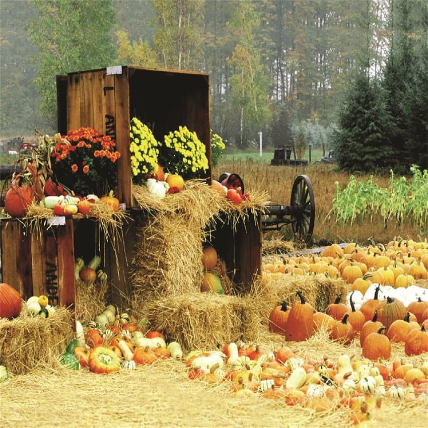 quality guaranteed LFEEY 4x4ft Fall Farm Harvest Backdrop Piles of Pumpkins Rustic Haystack graphy Backgrounds Autumn Straw Bales Hay Rural Crops Countryside Farmland Barn Halloween Thanksgiving Studio Props creative products HD phone wallpaper
