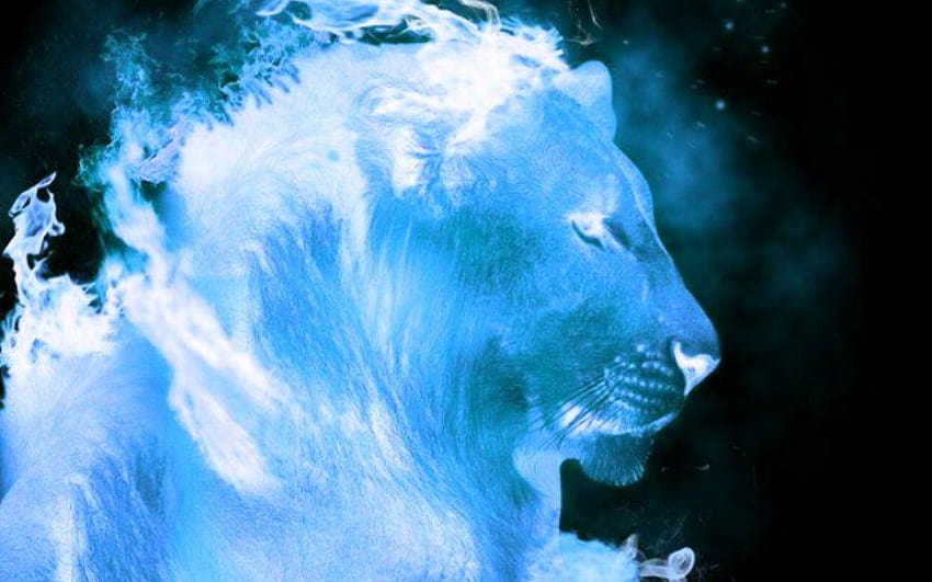 Blue Fire Lion Ice, fire and ice lion HD wallpaper