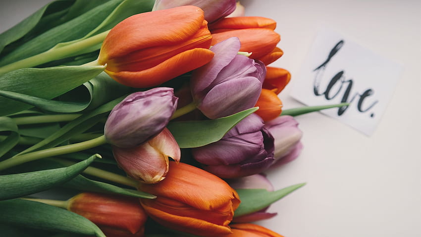 Tulipani viola e arancioni, bouquet 5120x2880 U, mazzo di tulipani arancioni Sfondo HD