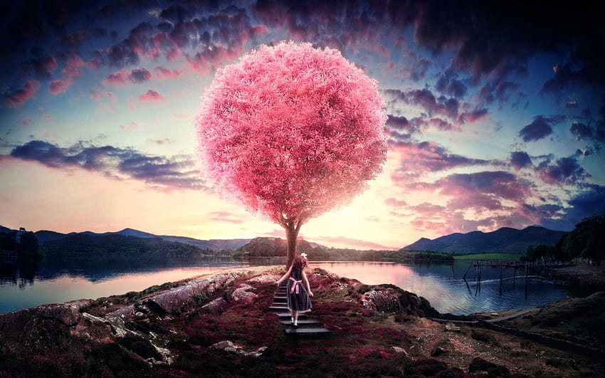Pink Attraction, law of attraction HD wallpaper