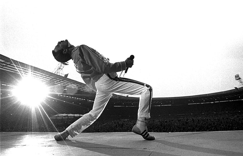 Freddie Mercury HD-Hintergrundbild