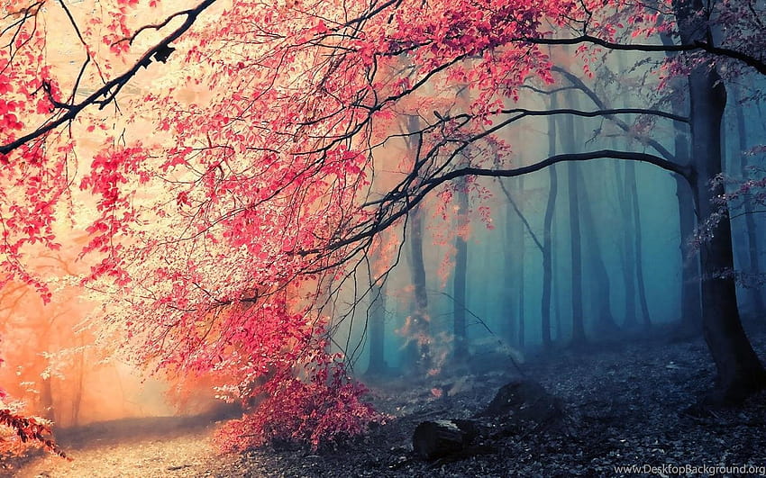 秋の森 自然 カエデの葉 デジタル アート 木 絵画 日本 ... 背景, 秋の森の絵画 高画質の壁紙