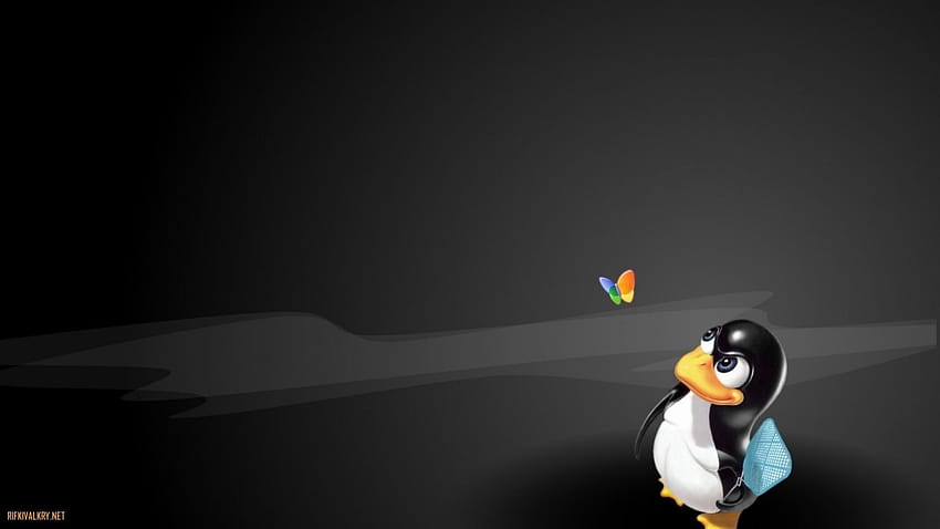 6 Linux Tux, pinguino linux oscuro Sfondo HD