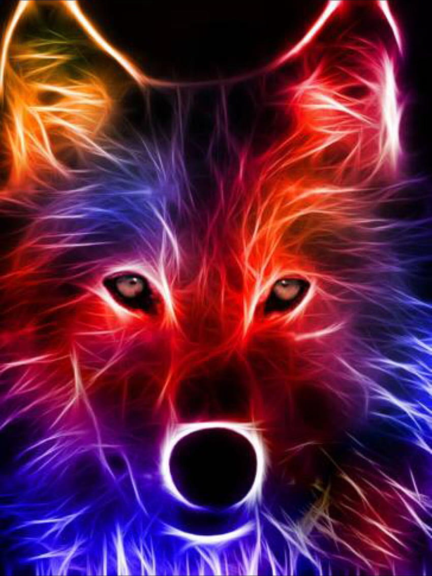 Colorful Cool Wolves, galaxy wolf rainbow HD phone wallpaper