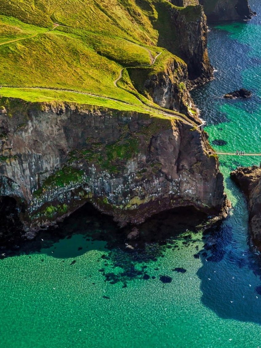 cliff Bridge Grass Island Ireland Sea Coast Green, sea cliff bridge HD phone wallpaper