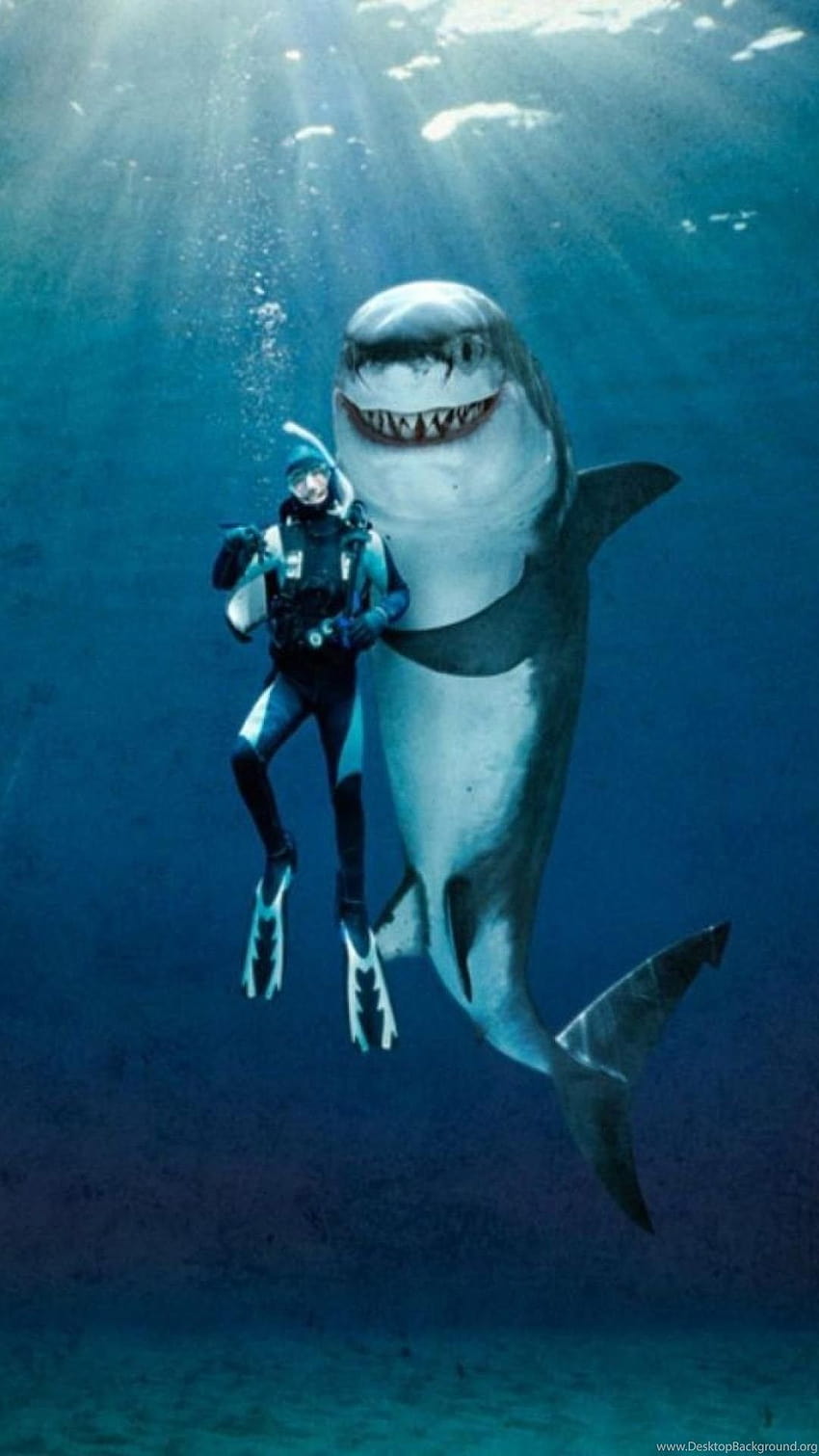 Nager avec les grands requins blancs drôle iphone 6 plus 1080x1920 .jpg Arrière-plans Fond d'écran de téléphone HD