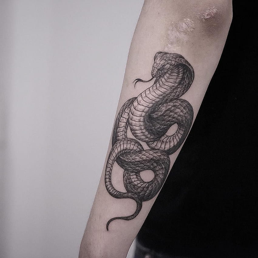 Gorgeous Snake Tattoos for You With Meaning 2023