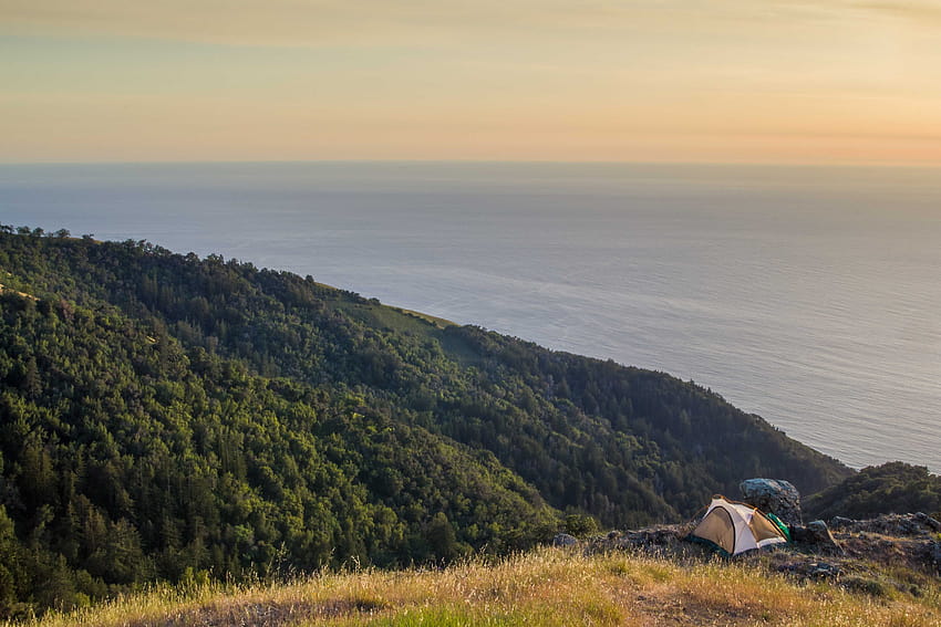 Camping on the Edge of the World Big Sur CA, forest camping HD wallpaper