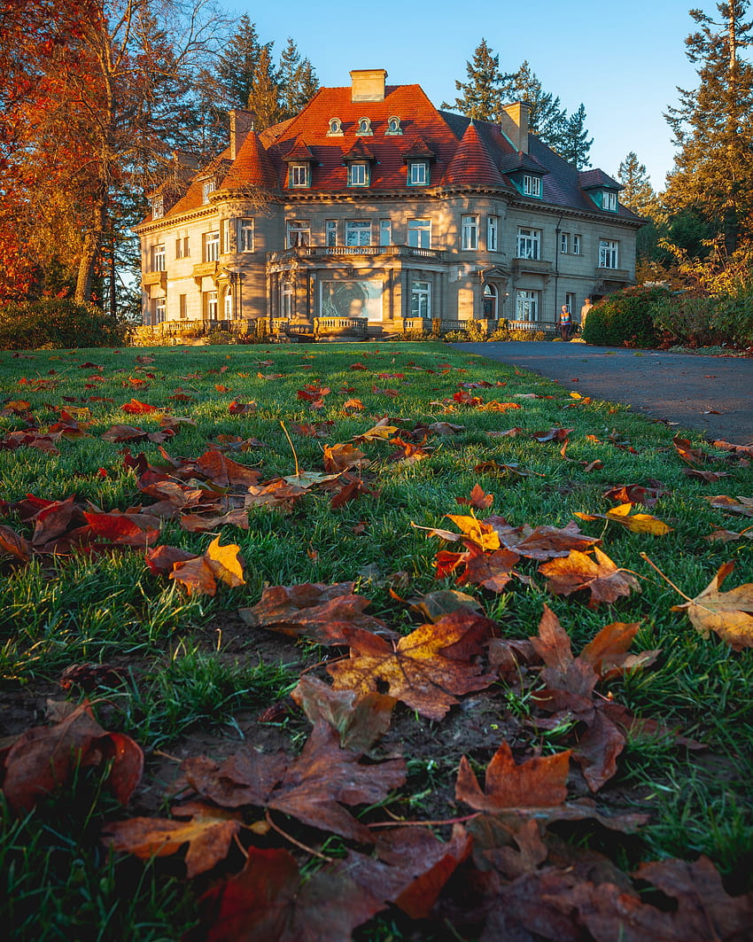 Dry Maple Leaves on Grass Near Pittock Mansion · Stock, autumn mansion HD phone wallpaper