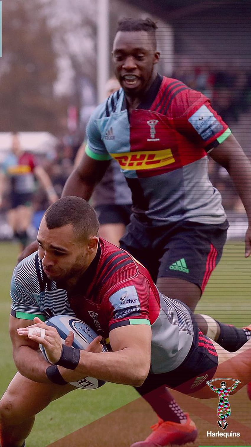 Arlequins, rugby arlequin Fond d'écran de téléphone HD