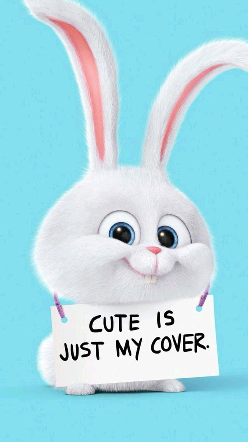 Meet the 'Psycho Bunny', cute anime rabbit HD phone wallpaper | Pxfuel