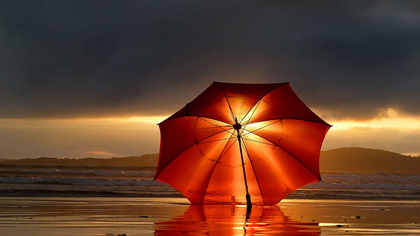 Orange Umbrella HD wallpaper