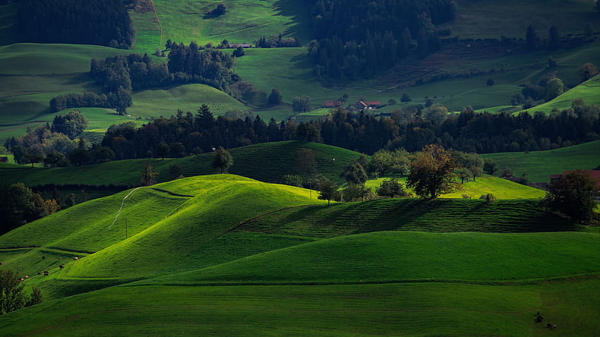 3840x2160 valle, verde, campo, hirzel, suiza u 16: 9 s, verde suiza fondo de pantalla