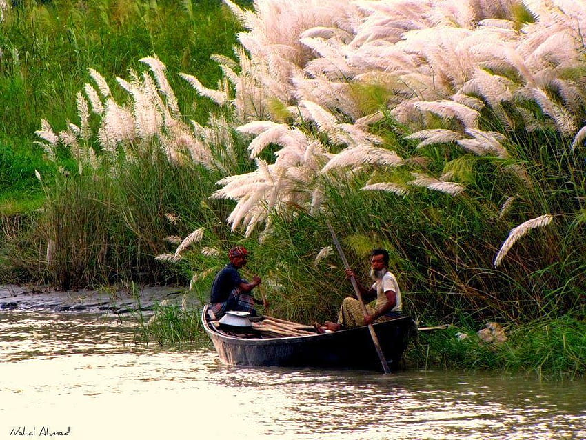 Bellezze naturali, Bangladesh Sfondo HD